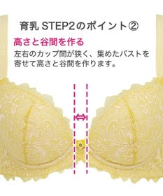 BRADELIS New York 【BRADELIS New York】ナオミステップ2ブラ23S2 バストを寄せて丸い女性らしい谷間をつくる補正ブラ