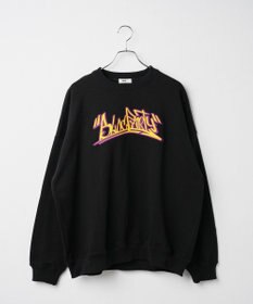 WEGO ヘビーウエイト刺繍グラフィックプルオーバー