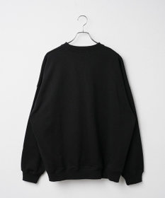 WEGO ヘビーウエイト刺繍グラフィックプルオーバー