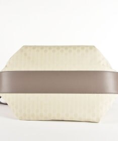 Y'SACCS 木村多江×Y'SACCS PolkaDots 2way トートバッグ