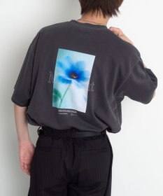 WEGO 【機能T】アクセ付きフォトグラフィックT（SS）