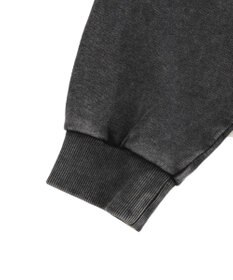 WEGO パウダーブリーチスタッズZIPパーカー