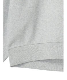 AMERICAN HOLIC 発泡ロゴポンチプルオーバー