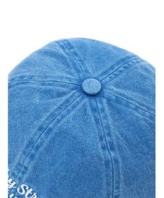 Green Parks ・ＴＯＲＣＨ　ピグメントロゴＣＡＰ