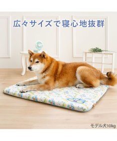 PET PARADISE スヌーピー もちっと クール マット Ｍ 《サーフ柄》