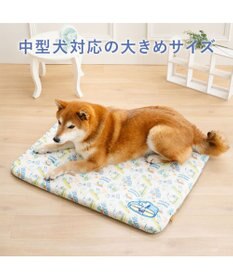 PET PARADISE スヌーピー もちっと クール マット Ｍ 《サーフ柄》