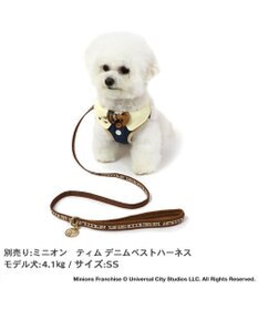 PET PARADISE ミニオン ティム リード 【４Ｓ~３Ｓ】 レトロ柄 小型犬