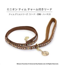 PET PARADISE ミニオン ティム リード 【４Ｓ~３Ｓ】 レトロ柄 小型犬