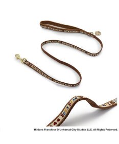 PET PARADISE ミニオン ティム リード 【４Ｓ~３Ｓ】 レトロ柄 小型犬