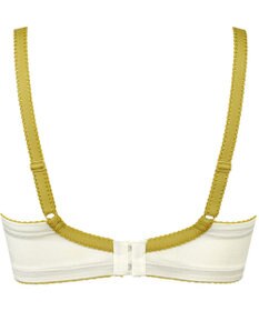 Wing ブラジャー コンパクトにバストメイク ラクなつけごこち 【小さく見せるブラ】 Hカップまで対応 大きいサイズ PB2862 ウイング／ワコール