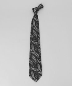 GOTAIRIKU GOTAIRIKU別注【日本製】シルク ネクタイ_ペイズリー