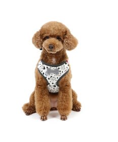 PET PARADISE ディズニー 101匹わんちゃん リュック付きハーネス ＳＳ 小型犬