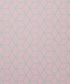 TRICOTE DICTIONARY SYUGI BUKURO