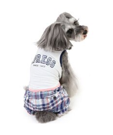 PET PARADISE J.PRESS クール 接触冷感 パンツつなぎ マドラスパンツ 小型犬