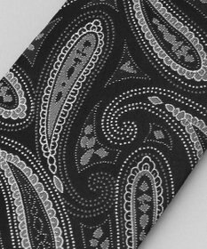 GOTAIRIKU GOTAIRIKU別注【日本製】シルク ネクタイ_ペイズリー