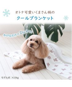 PET PARADISE ペットパラダイス くまちゃん クールブランケット (90×60cm)