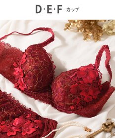 Wing Wing Lesiage　【2780シリーズ】　ブラジャー　ふっくらまる胸　総レース　ウイング／ワコール　PB2780