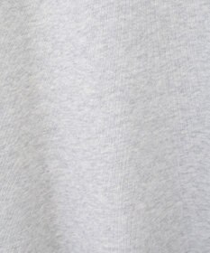 AMERICAN HOLIC ＥＶＡＮＳＴＯＮ　ミニ裏毛プルオーバー