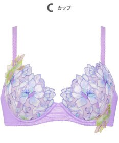 Wing ブラジャー Wing Lesiage ふっくら、まる胸メイク 背中にやさしくフィット 【2860シリーズ】 パッド有 ブラ PB2860 ウイング／ワコール