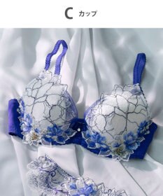 Wing Wing Lesiage　【2820シリーズ】　ブラジャー　ふっくらまる胸メイク　ウイング／ワコール　PB2820