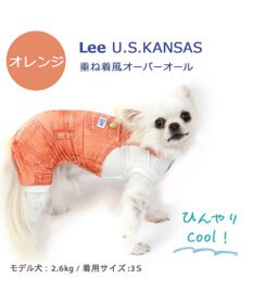 PET PARADISE Ｌｅｅ つなぎ風  ロンパース 【小型犬】《ブルー/オレンジ》クールマックスエコメイド