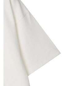 Green Parks Ｄｉｓｎｅｙ１００　ダンボ／Ｔシャツ