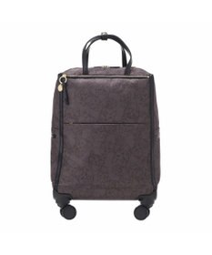 ACE BAGS & LUGGAGE HAyU × ace. ユッカTR カジュアルキャリーケース 33L 17841 エース