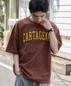 WEGO 【ユニセックス着用アイテム/MLサイズ展開】サガラワッペンロゴBIG　T（SS）