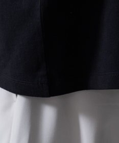 WEGO シルバープリントT（SS）