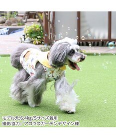 PET PARADISE ディズニー くまのプーさん クールメッシュ 襟付きタンクトップ 小型犬