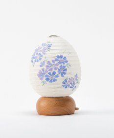 ちょうちん堂 【あかり道】〈手書絵付〉チコリ ちょうちん ライト