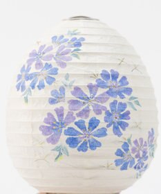 ちょうちん堂 【あかり道】〈手書絵付〉チコリ ちょうちん ライト