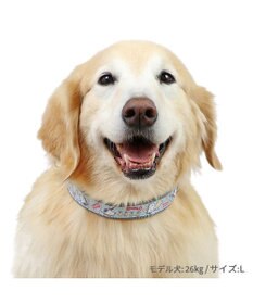 PET PARADISE スヌーピー 首輪 《 ビーグルスカウト》 Ｌ 大型犬
