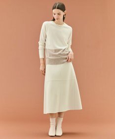 BEIGE， 【WEB限定・洗える】DEMING / バイカラーウールクルーネックニット