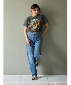 Green Parks ■ＪＵＲＡＳＳＩＣ　ＰＡＲＫ　コラージュｐｃＴ