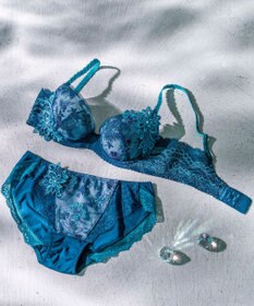 Wing Wing Lesiage　【2810シリーズ】　ブラジャー　ふっくらまる胸メイク　背中の段差軽減　ウイング／ワコール　PB2810