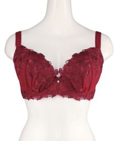 San-ai Resort（三愛水着楽園） エレガントコレクション【2411】単品ブラU80カップ 【northerly】