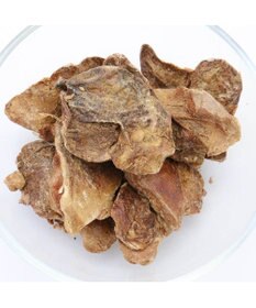 PET PARADISE  フリーズドライ  鶏レバー 40g 国産