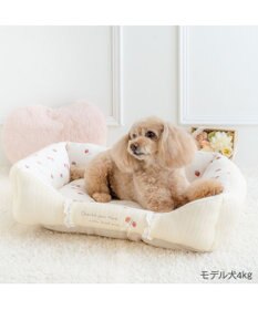 PET PARADISE ペットパラダイス カドラー 《花苺柄》 Ｍ