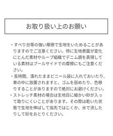MIKI HOUSE HOT BISCUITS 【ミキハウス】【80-90cm】ミキハウスベア グレコ水着