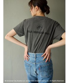 Green Parks ■ＪＵＲＡＳＳＩＣ　ＰＡＲＫ　コラージュｐｃＴ