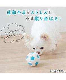 PET PARADISE ペットパラダイス サッカーボール 小