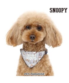 PET PARADISE スヌーピー  首輪 ビーグルスカウト柄 反射付き【ＳＳ】小型犬