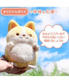 Mother garden マザーガーデン 一緒に体操！元気なコーギーちゃん