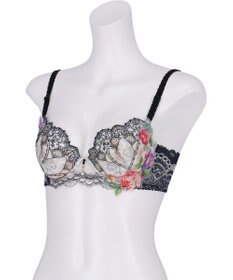 Wing ブラジャー Wing Lesiage ふっくら、まる胸メイク 背中すっきり 【2910シリーズ】 ブラ PB2910 ウイング／ワコール