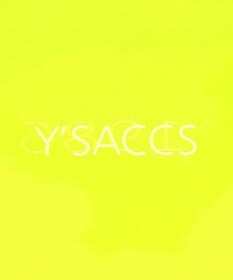 Y'SACCS パラコード編み込みトート