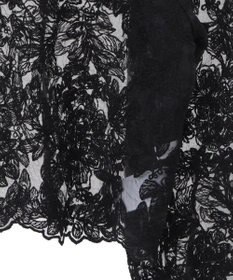 AMERICAN HOLIC 前後２WAYシアーレースブラウス