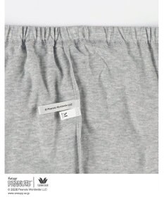 WACOAL PEANUTS パジャマ 長袖 長ズボン 綿100%(本体) スヌーピー レディース FDX561 /ワコール