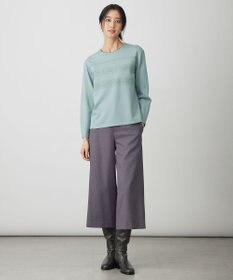 J.PRESS LADIES S アモーレポンチ レース カットソー