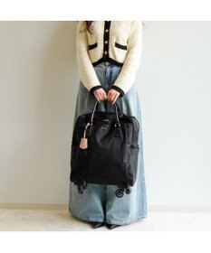 ACE BAGS & LUGGAGE Jewelna Rose アメリー カジュアルトローリー 31591 ジュエルナローズ 機内持ち込み